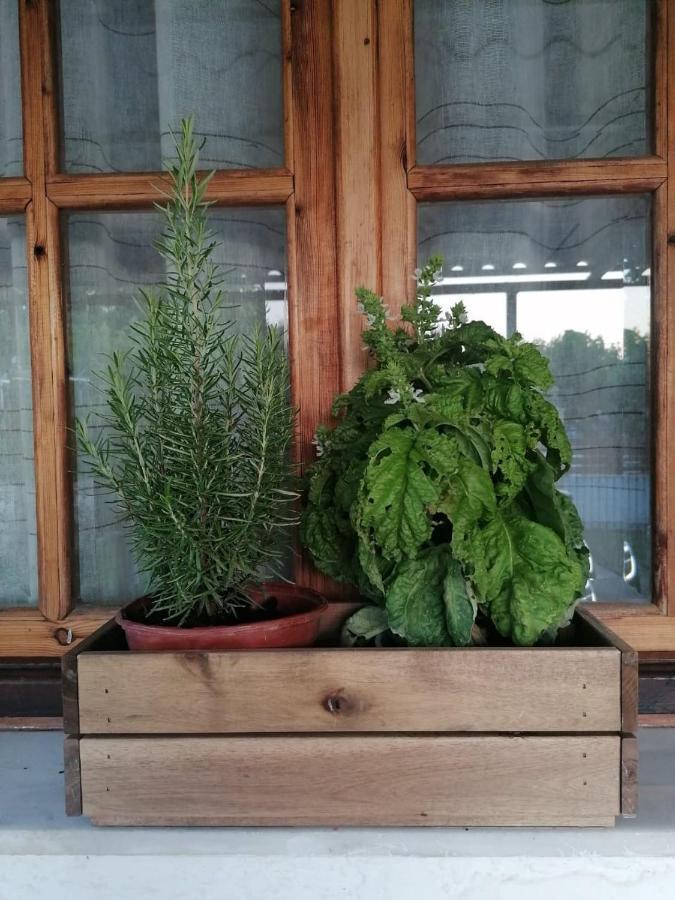 Σπίτι διακοπών Tota's Family House, 4 Min Walk To The *