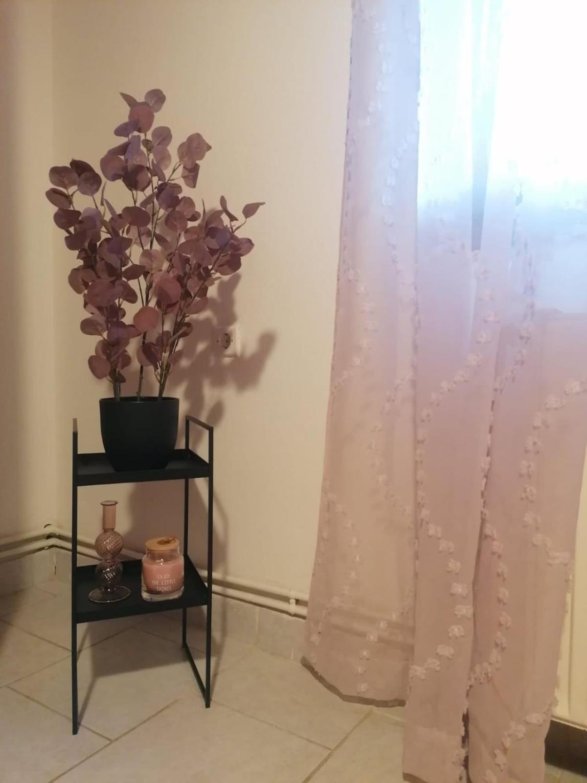 Tota's Family House, 4 Min Walk To The *
