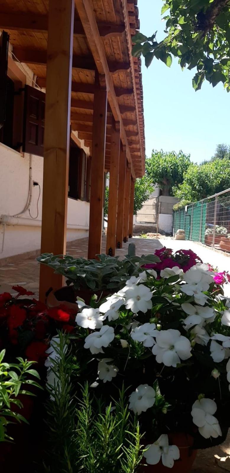 Casa vacanze Tota's Family House, 4 Min Walk To The *
