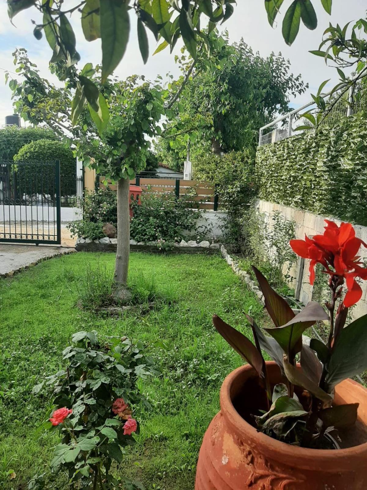 Casa vacanze Tota's Family House, 4 Min Walk To The
